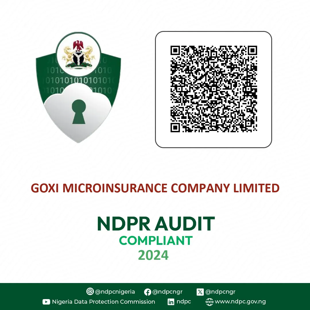 GOXI Audit Compliance 2024